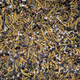 bitcoin Ethereum Blockchain410