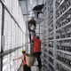 bitcoin Ethereum Blockchain737