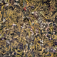 bitcoin Ethereum Blockchain740