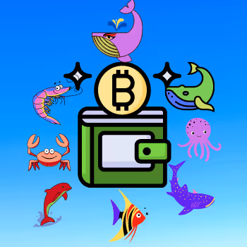 Bitcoin Holder Ranking