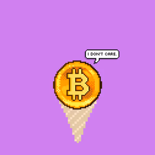 Bitcoin Is The Future!