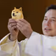 Bitcoin x Doge