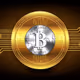 Bitcoin & Others
