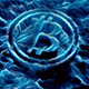 bitcoin sea - old
