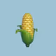 Bitcorn Farm