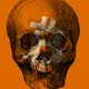 Bit Craniums - old V2