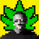 BitRap