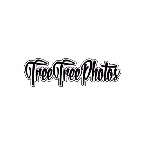 BitTreeTree Photography