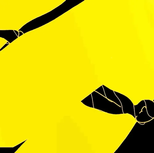 BlaccInferno's  Kaleidoscope