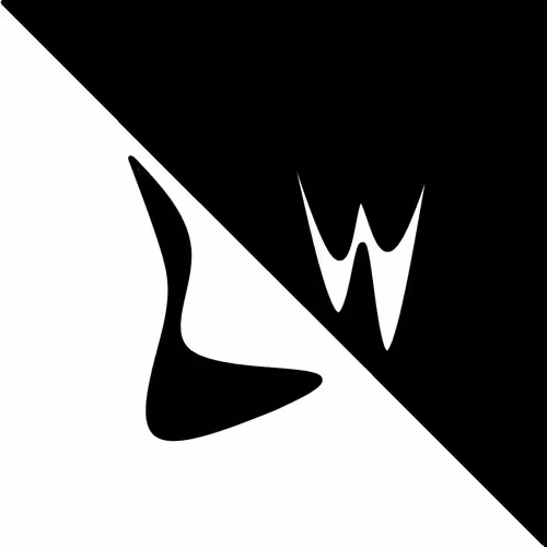 black and white and black