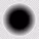 black and white art collection