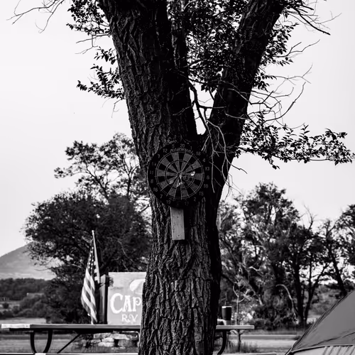 Black and white ascention