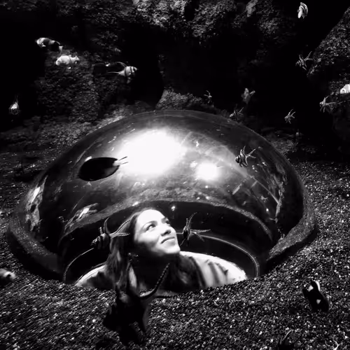 black and white heart