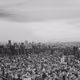 Black and white is beautiful. - Yoshimitsu4432 -