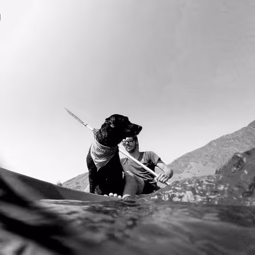 Black and White machine