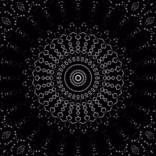 Black and White Video