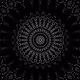 Black and White Video