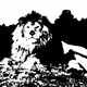 Black And White Wild Animals Of Africa