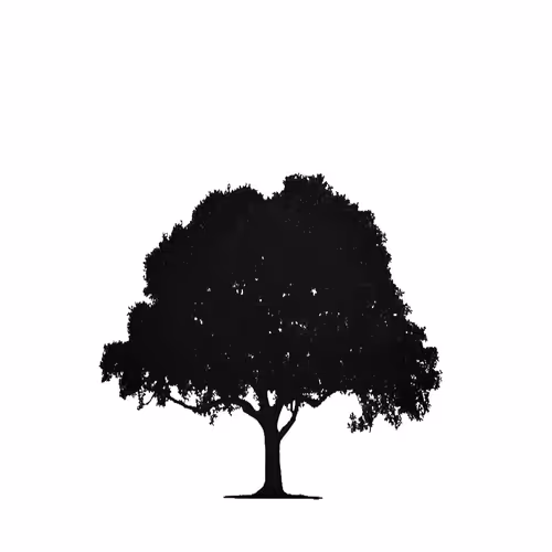 black and white wood