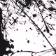 Black and white space X