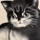 BLACK-CAT_kuroneko