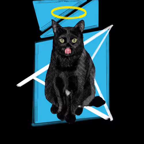 black cat - YDWrZtkFJa