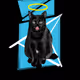 black cat - YDWrZtkFJa