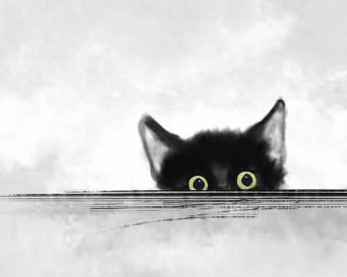Sketches of a black cat - old