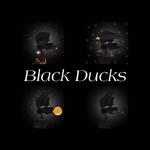Black Ducks