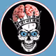 Black Flag Society Badge