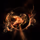 Black Hole Inspired
