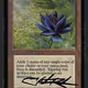 Black Lotus Alpha signed by artist