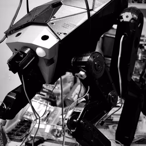 Black Mirror's Metalhead Dog