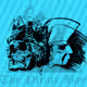 Black pirate skull