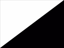 Black & White Canvas