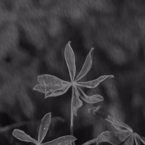 Black White Gray - old