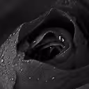 B&W Photography NFT