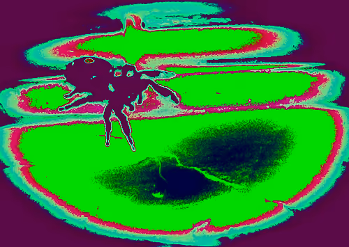 Black Widow Spy