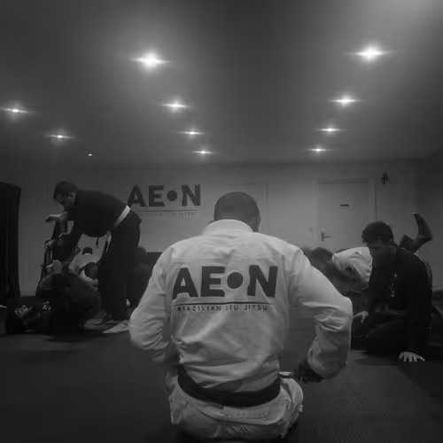 Black & White Fights - old V2