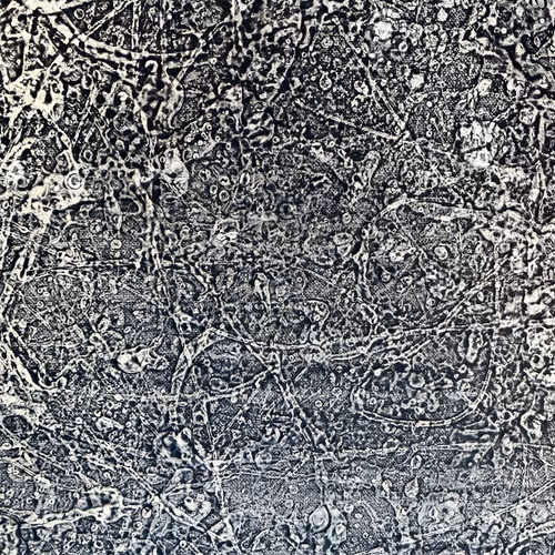 Black and White Pollock