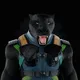 Black Crypto Panthers