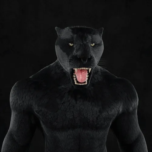 Black Crypto Panthers
