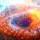 Cosmo Duo: The Union Of Two Nebulas
