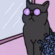 Black Kitten - old