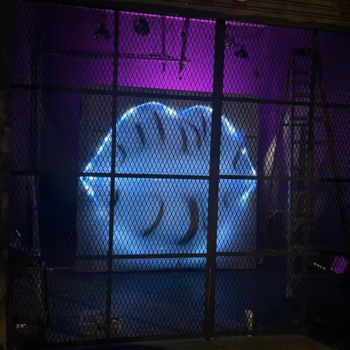 The Black Lips Series