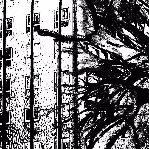 Black Prints - old