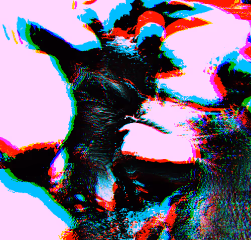 BlackRock Foundation