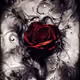 Black Roses