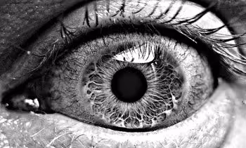 BlackWhiteMono