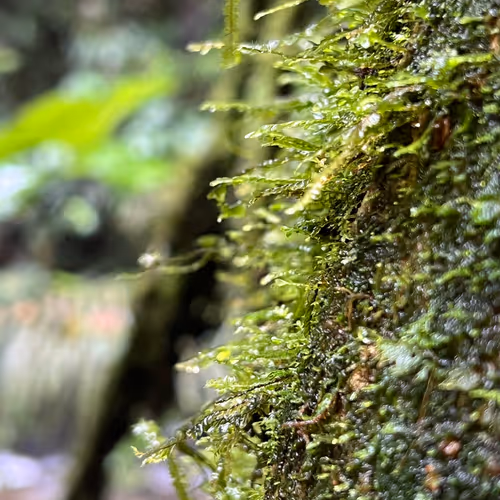 BLAZECAMP Moment in time Collection - old